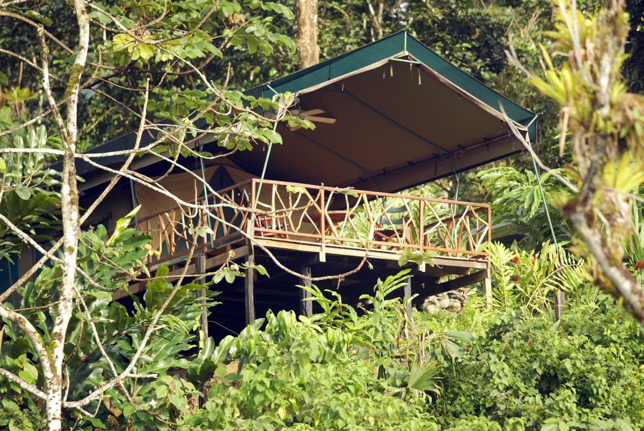 Rafiki Safari Lodge Savegre 객실 사진