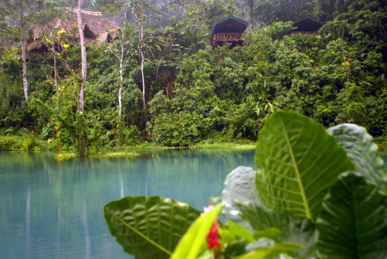 Rafiki Safari Lodge Savegre 객실 사진
